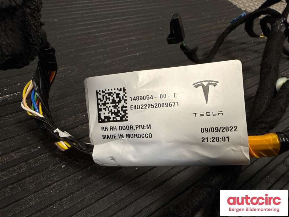 Ledningsnett til Tesla Model Y 2021-2024 (Type I)  (TESLA|2067966-00-B|)
