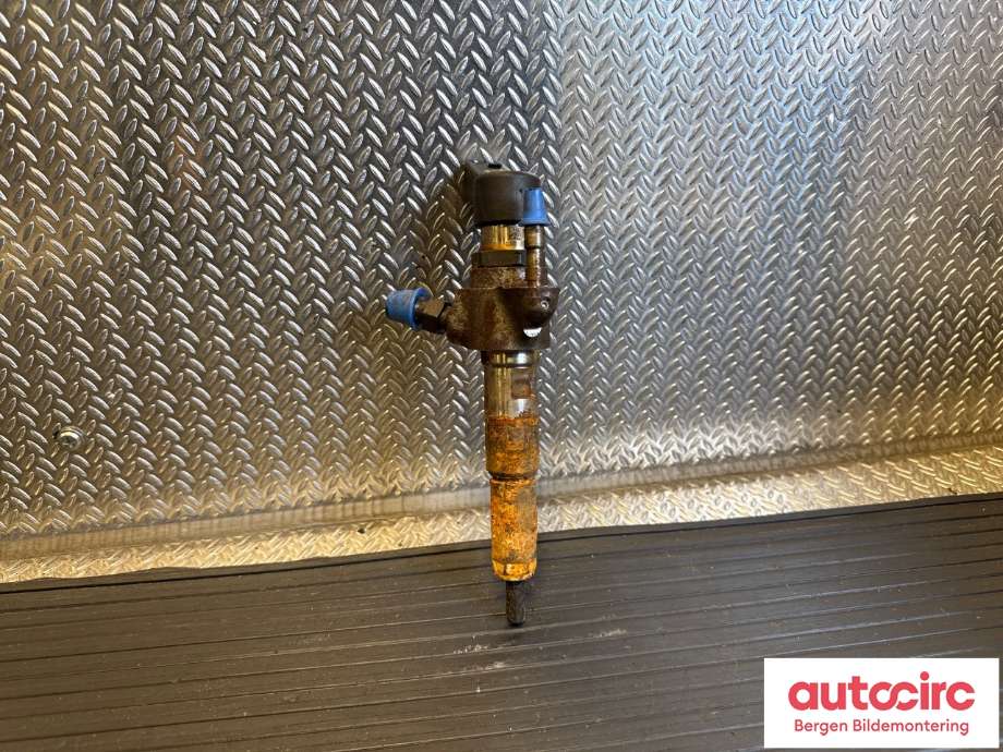 Dyse innsprøyting diesel til Ford Focus 2011-2014 (Type III, Fase 1) (FORD|1791017|AV6Q-9F593-AD|)