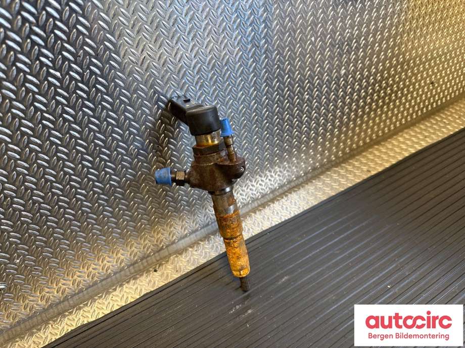 Dyse innsprøyting diesel til Ford Focus 2011-2014 (Type III, Fase 1) (FORD|1791017|AV6Q-9F593-AD|)