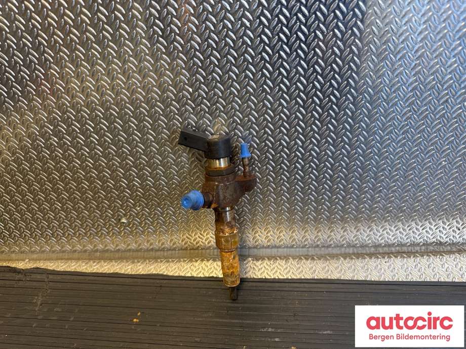 Dyse innsprøyting diesel til Ford Focus 2011-2014 (Type III, Fase 1)  (FORD|1791017|AV6Q-9F593-AD|)