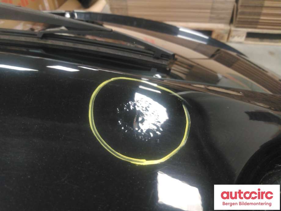 Bakluke til Ford S-Max 2010-2015 (Type I, Fase 2)  (FORD|1719623|PAM21-R40410-AB|)