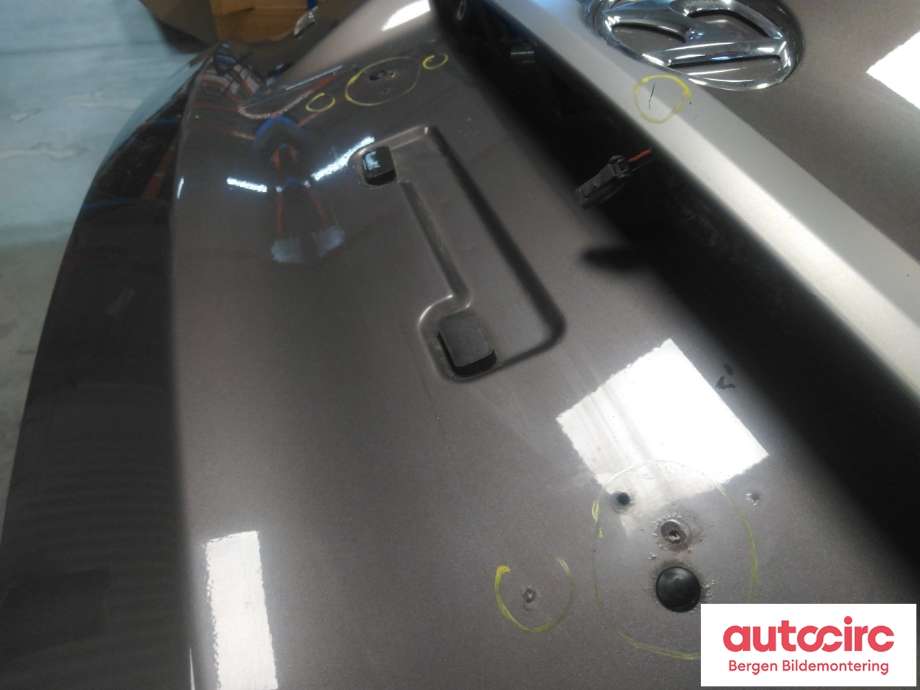 Bakluke til Hyundai Ix35 2010-2015  (HYUNDAI|73700 2Y000|)