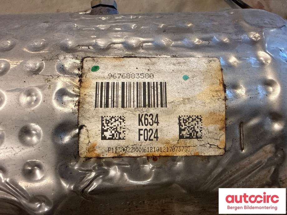 Partikkelfilter til Peugeot 3008 2009-2016 (Type I)  (PEUGEOT|1738 42|1738 E3|)
