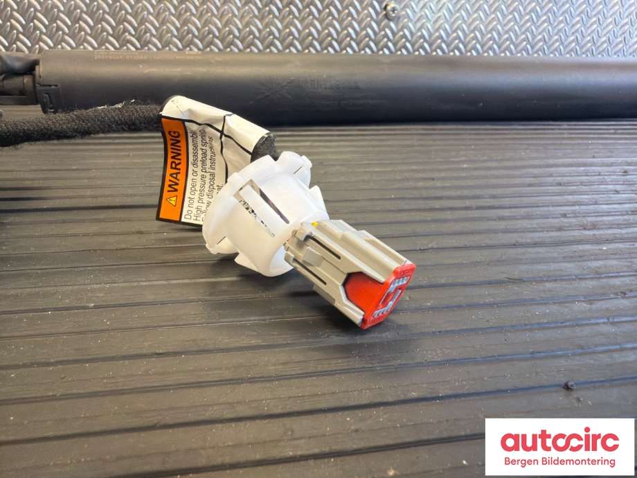 Baklukeåpner motor til Ford Mustang Mach-e 2020-->>  (FORD (US)|2712190|)