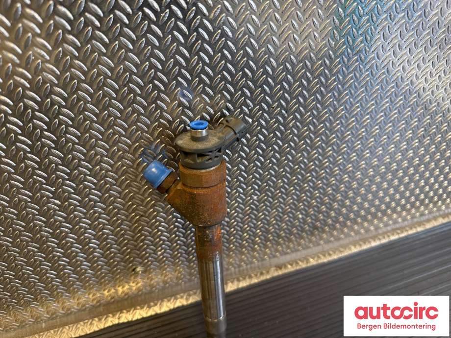 Dyse innsprøyting diesel til Peugeot Partner 2019-->> (Type III)  (PEUGEOT|98 289 598 80|)
