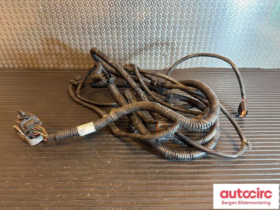Ledningsnett til Hyundai Ioniq Electric, 2019-->> (Fase 2) (HYUNDAI|91891G7020)