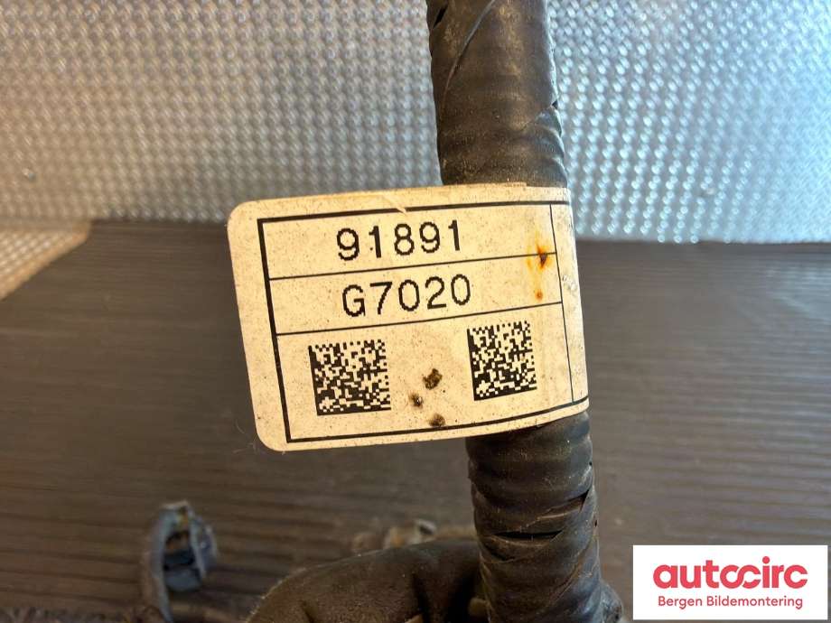 Ledningsnett til Hyundai Ioniq Electric 2019-->> (Fase 2) (HYUNDAI|91891G7020|)