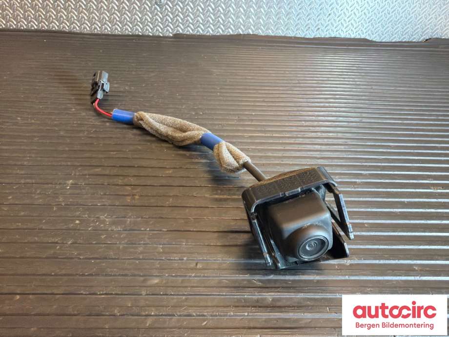Kamera til Renault Zoe, 2013-2019 (Fase 1) (RENAULT|284422773R)