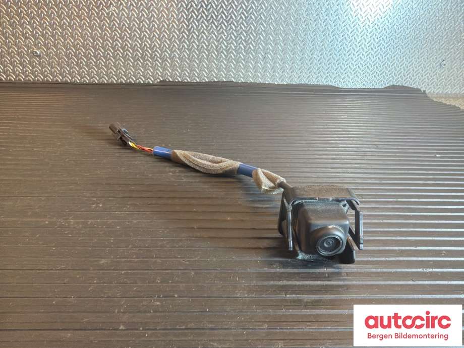 Kamera til Renault Zoe, 2013-2019 (Fase 1)  (RENAULT|284422773R)