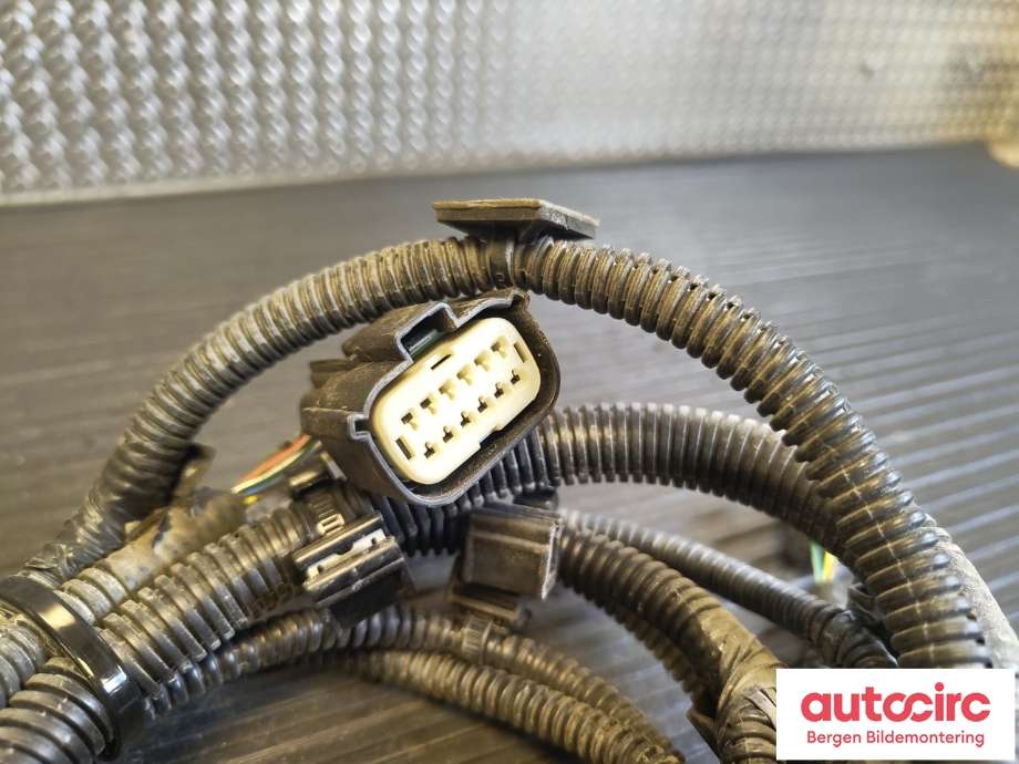 Ledningsnett til Tesla Model S 2016-2021 (Fase 2)  (TESLA|1004421-04-T|)