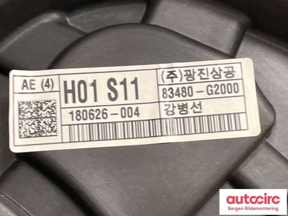 Ruteheis til Hyundai Ioniq Electric 2019-->> (Fase 2)  (HYUNDAI|83481G 2000|)
