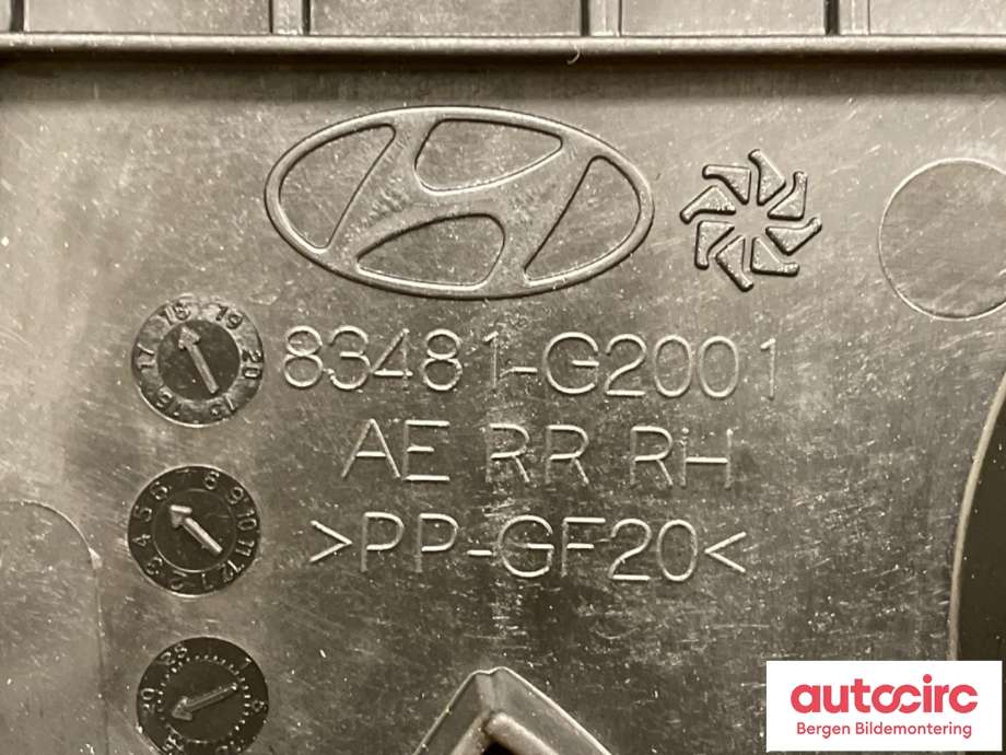 Ruteheis til Hyundai Ioniq Electric 2019-->> (Fase 2)  (HYUNDAI|83481G 2000|)