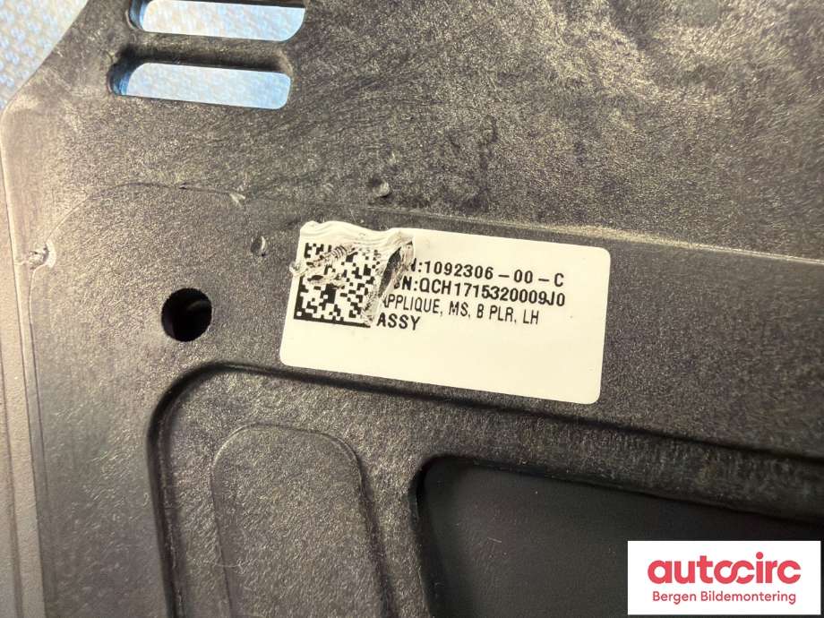 Kamera til Tesla Model S 2016-2021 (Fase 2)  (TESLA|1092306-00-C||169104-00-C)