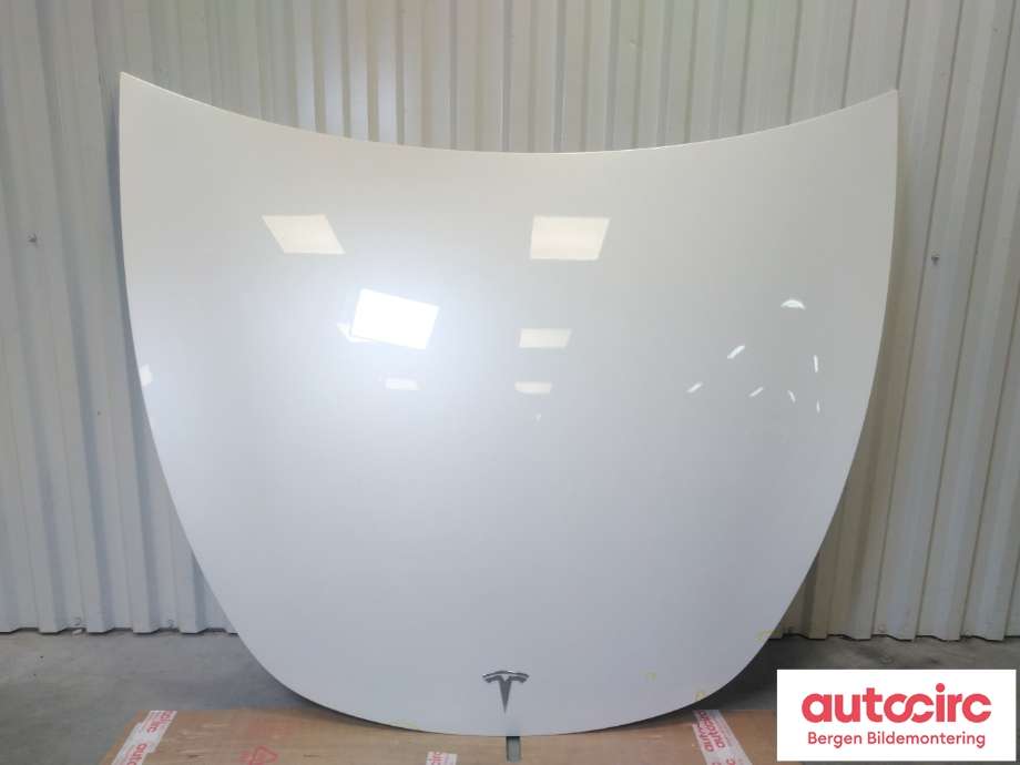 Panser til Tesla Model Y 2021-2024 (Type I) (TESLA|1493370-ED-A|)
