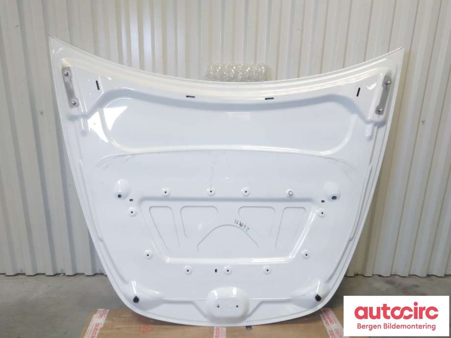 Panser til Tesla Model Y 2021-2024 (Type I) (TESLA|1493370-ED-A|)