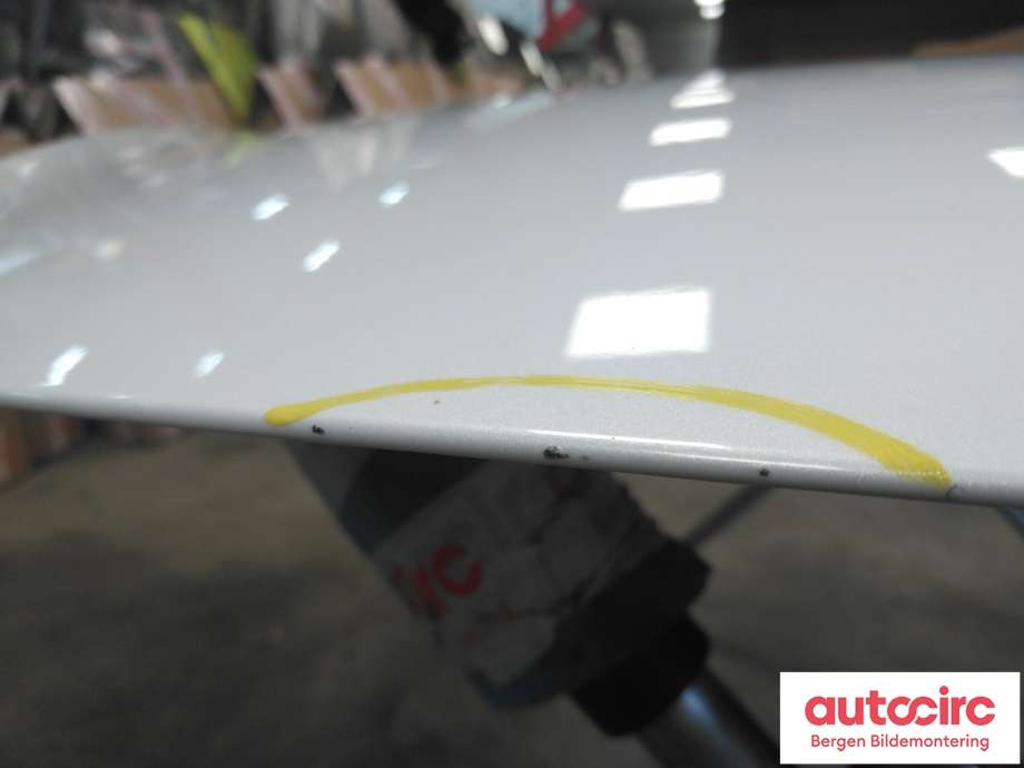 Panser til Tesla Model Y 2021-2024 (Type I) (TESLA|1493370-ED-A|)