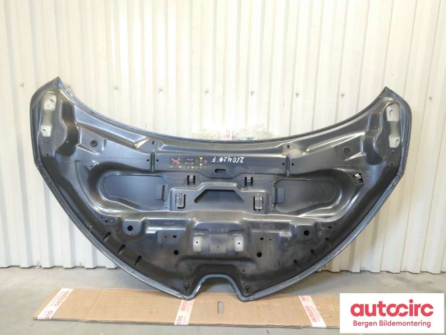Panser til Renault Zoe 2013-2019 (Fase 1)  (651004516R|)