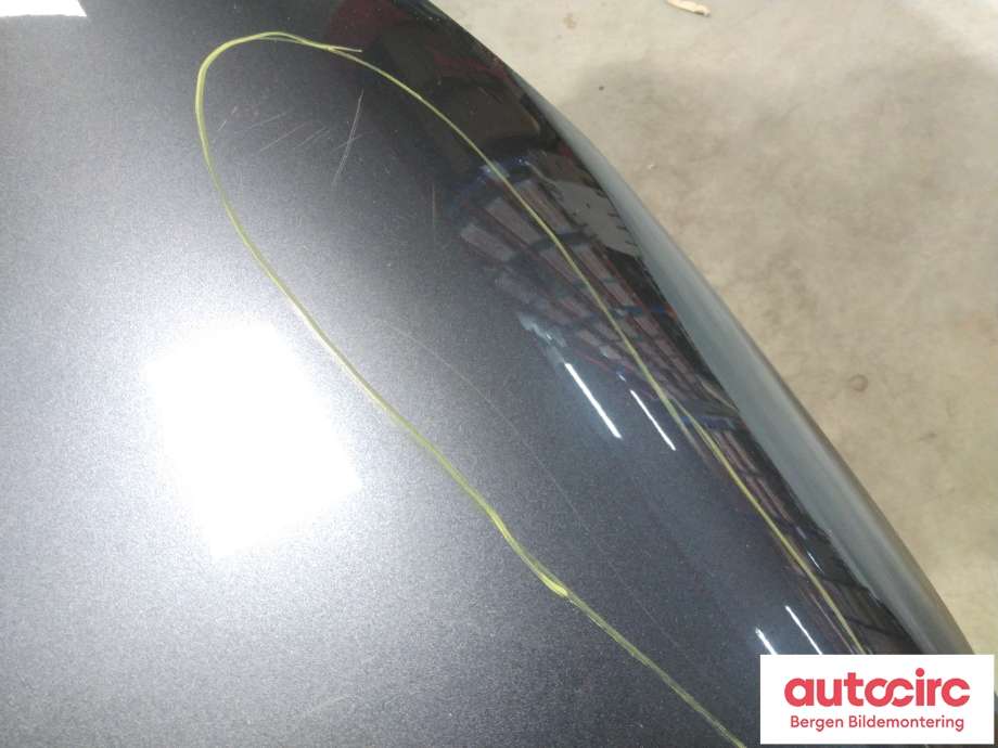 Panser til Renault Zoe 2013-2019 (Fase 1)  (651004516R|)