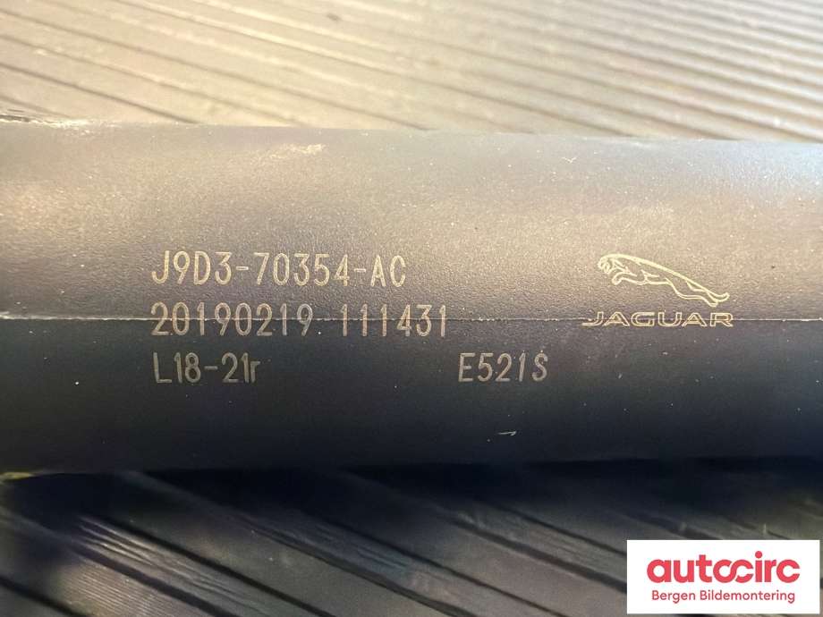 Baklukedemper til Jaguar I-PACE 2018-->>  (JAGUAR|T4K1285|535123571|J9D370354AC)
