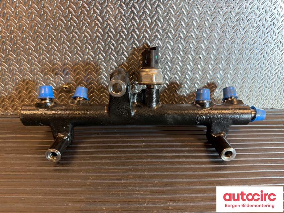 Dyseskinne (fuelrail) til Peugeot 508, 2011-2014 (Type I, Fase 1)  (PEUGEOT|1570 P3)