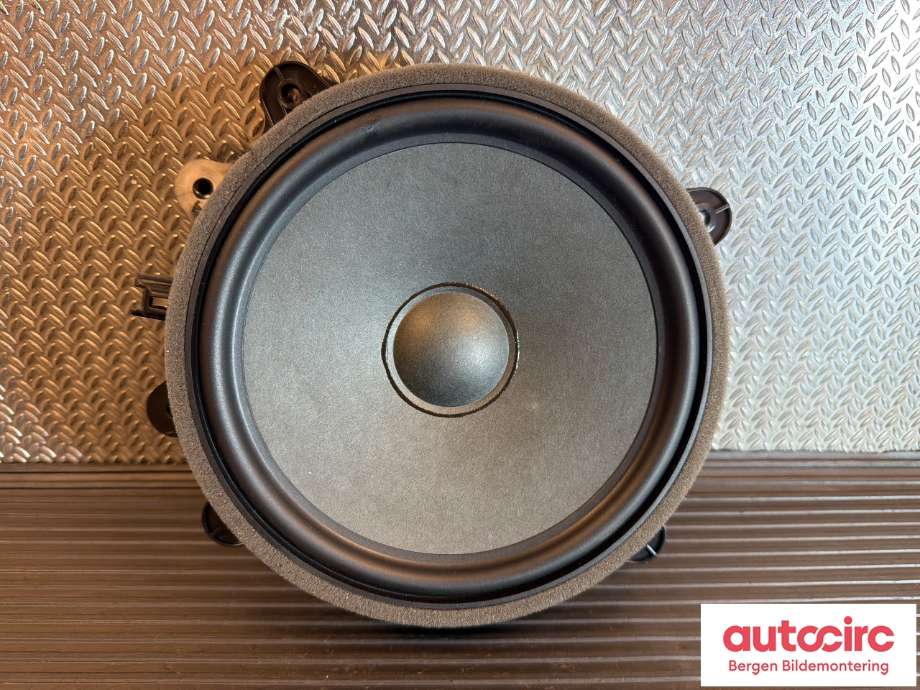 Bilstereo høyttaler til Tesla Model Y, 2021-2024 (Type I)  (TESLA|1079744-00-E)