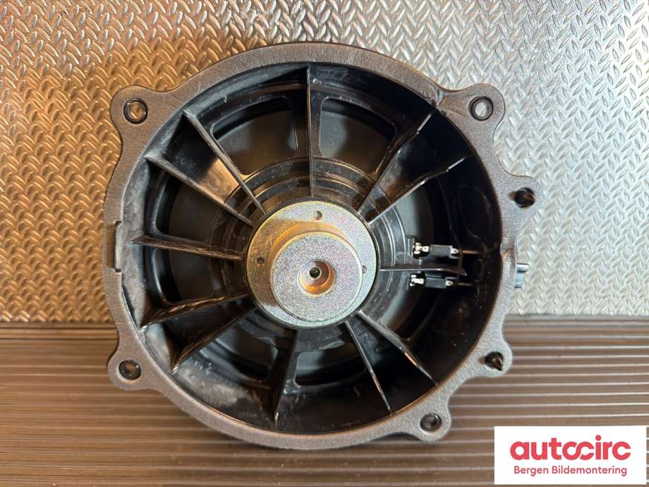 Bilstereo høyttaler til Tesla Model Y 2021-2024 (Type I)  (TESLA|1079744-00-E|)