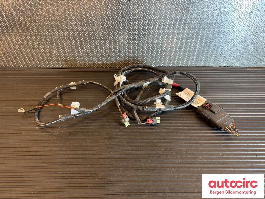Ledningsnett til Tesla Model Y, 2021-2024 (Type I)  (TESLA|1489045-04-D)