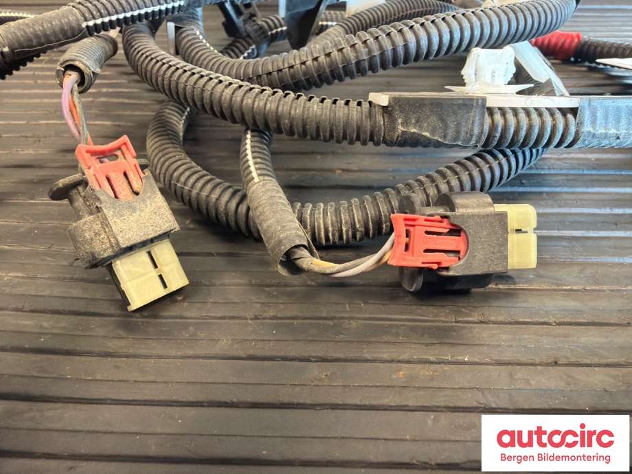 Ledningsnett til Tesla Model Y 2021-2024 (Type I) (TESLA|1489045-04-D|)