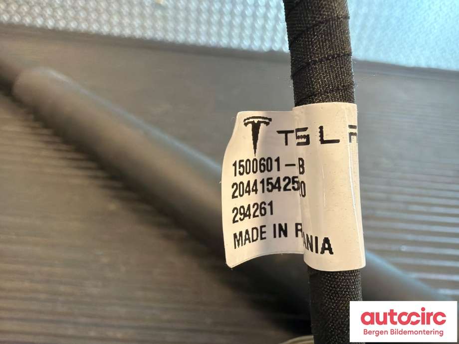 Baklukedemper til Tesla Model Y 2021-2024 (Type I) (TESLA|1500601-20-B|)