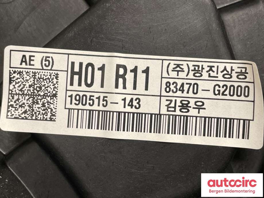 Ruteheis til Hyundai Ioniq Electric 2019-->> (Fase 2)  (HYUNDAI|83471G 2000|)