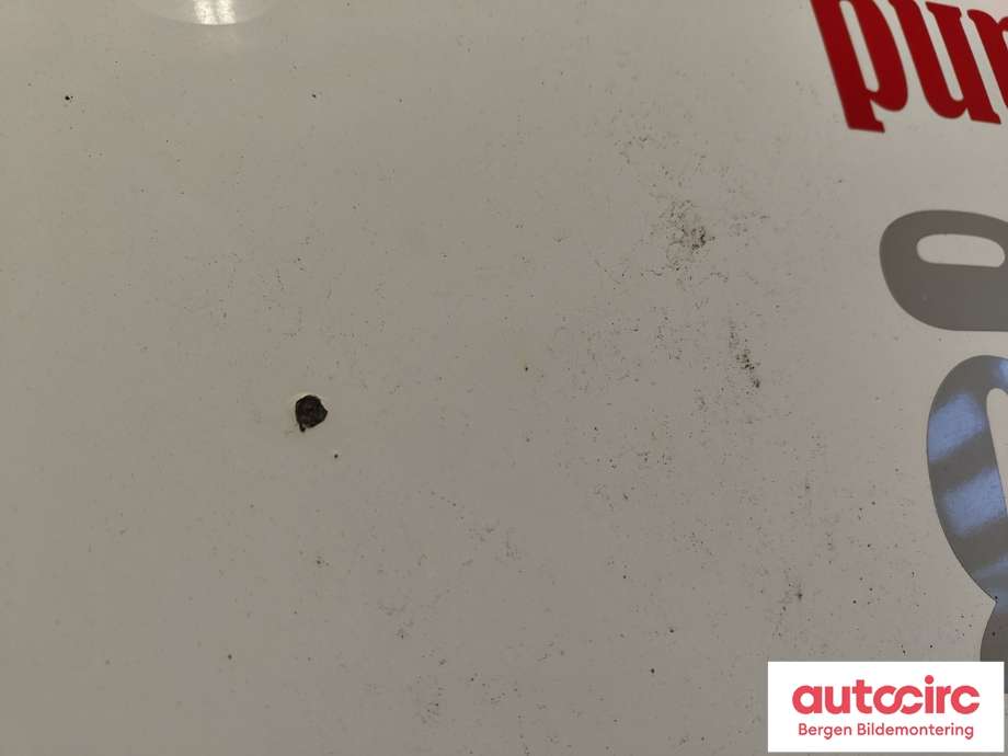 Panser til Peugeot Expert 2007-2016 (Type II)  (PEUGEOT|7901 N1|16 083 717 80|)
