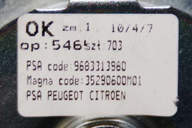 Bagasjerom diverse til Peugeot 3008 2009-2016 (Type I)  (PEUGEOT|96 833139 80|)