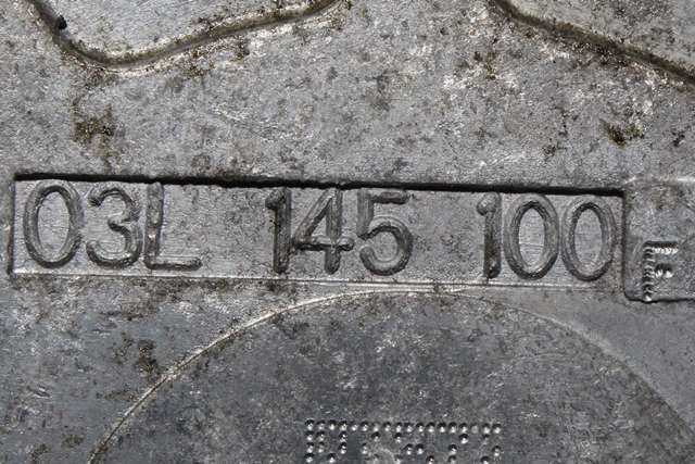 Vakuumpumpe til VW Passat 2011-2015 (B7) (B7) (VAG|03L 145 100 F|)
