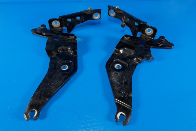 Panserhengsler til BMW X6 2008-2014 (E71/E72) (E71/E72) 