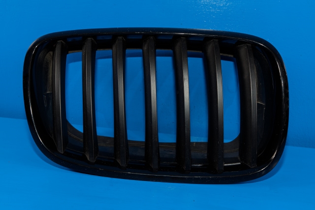 Grill til BMW X6, 2008-2014 (E71/E72) (E71/E72) 