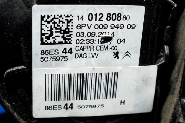 Pedal gass til Citroën Jumpy 2007-2016 (Type II)  (HELLA|6PV 009 949-09|14 012808 80|)