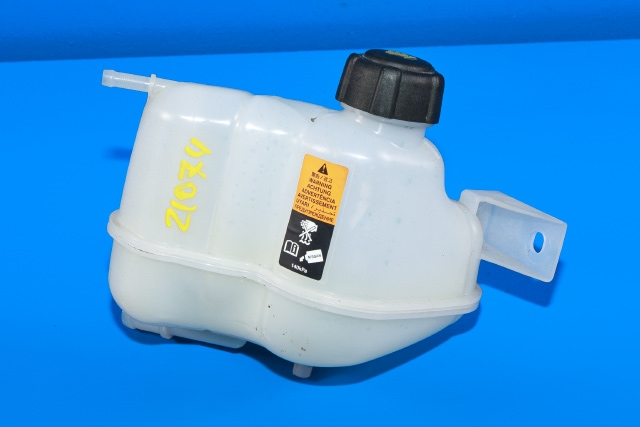 Ekspansjonstank til Nissan X-Trail 2014-2022 (T32) (T32) 
