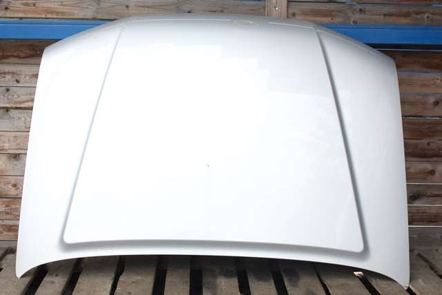 Panser til Nissan Pathfinder, 2005-2010 (Fase 1) (R51) (R51) 