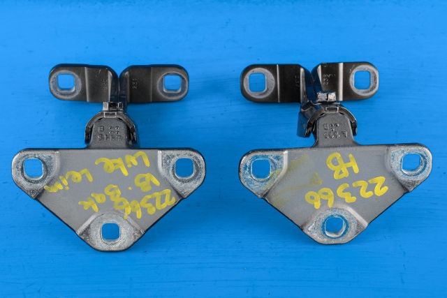 Bakluke/bakdør hengsel til BMW X5 2013-2018 (F15) (F15) 