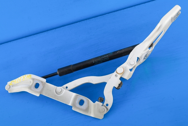 Panserhengsler til BMW 1-Serie 2004-2011 (E81/E82/E87/E88) (E81/E82/E87/E88) (BMW|51.24-7 166 758|)