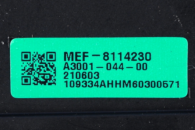 Varmeapparat motor til XPeng G3 2021-->>  
