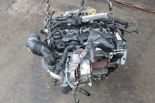 Motor diesel til Škoda Octavia 2017-2020 (Type III, Fase 2) (DJGA|)