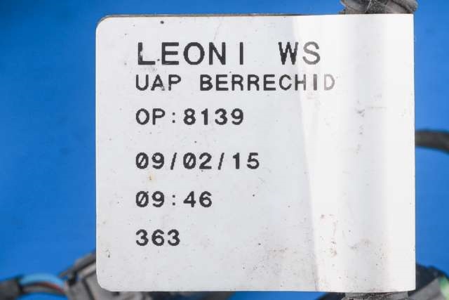 Ledningsnett til Citroën Jumpy 2007-2016 (Type II)  (CITROEN|14 979700 80|)