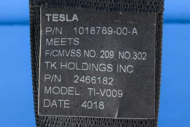 Sikkerhetsbelte bak høyre til Tesla Model S 2013-2016 (Fase 1)  (TESLA|1018789-00-A|)