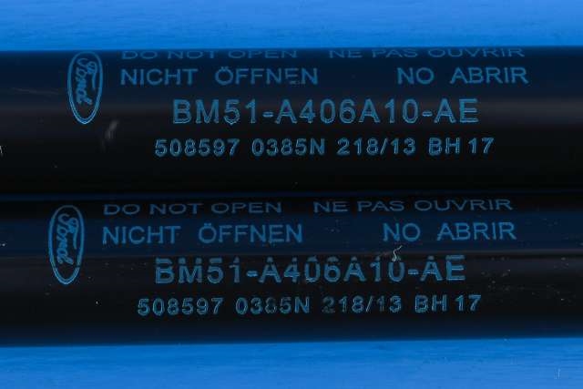 Baklukedemper til Ford Focus, electric 2012-2018 (FORD|BM51-A406A10-AE|)