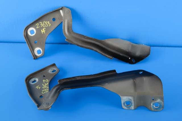 Panserhengsler til Ford Edge 2016-2019  (FORD|FT4B-R16800-A|)