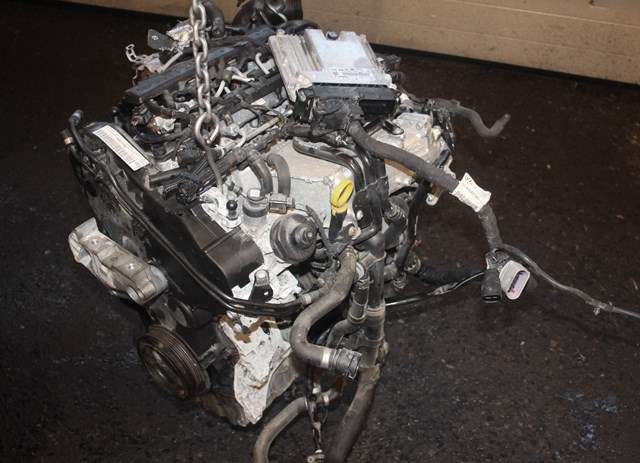 Motor diesel til Škoda Octavia 2017-2020 (Type III, Fase 2)  (DJGA|)
