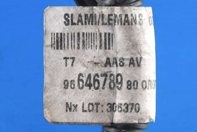 Ledningsnett til Peugeot 308 2007-2011 (Type I, Fase 1)  (PEUGEOT|96 646789 80|)