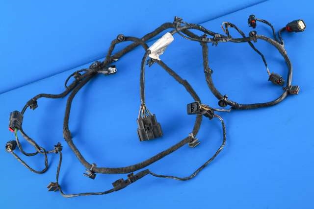 Ledningsnett til Ford S-Max, 2010-2015 (Type I, Fase 2)  (FORD|AG9T-15K867-HF)