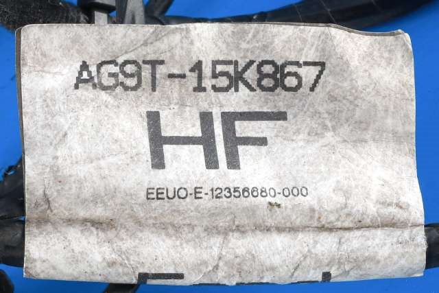 Ledningsnett til Ford S-Max 2010-2015 (Type I, Fase 2) (FORD|AG9T-15K867-HF|)